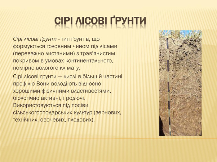 Як використовуються сірі лісові ґрунти?