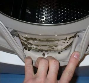 Як очистити пральну машину в домашніх умовах: повний посібник