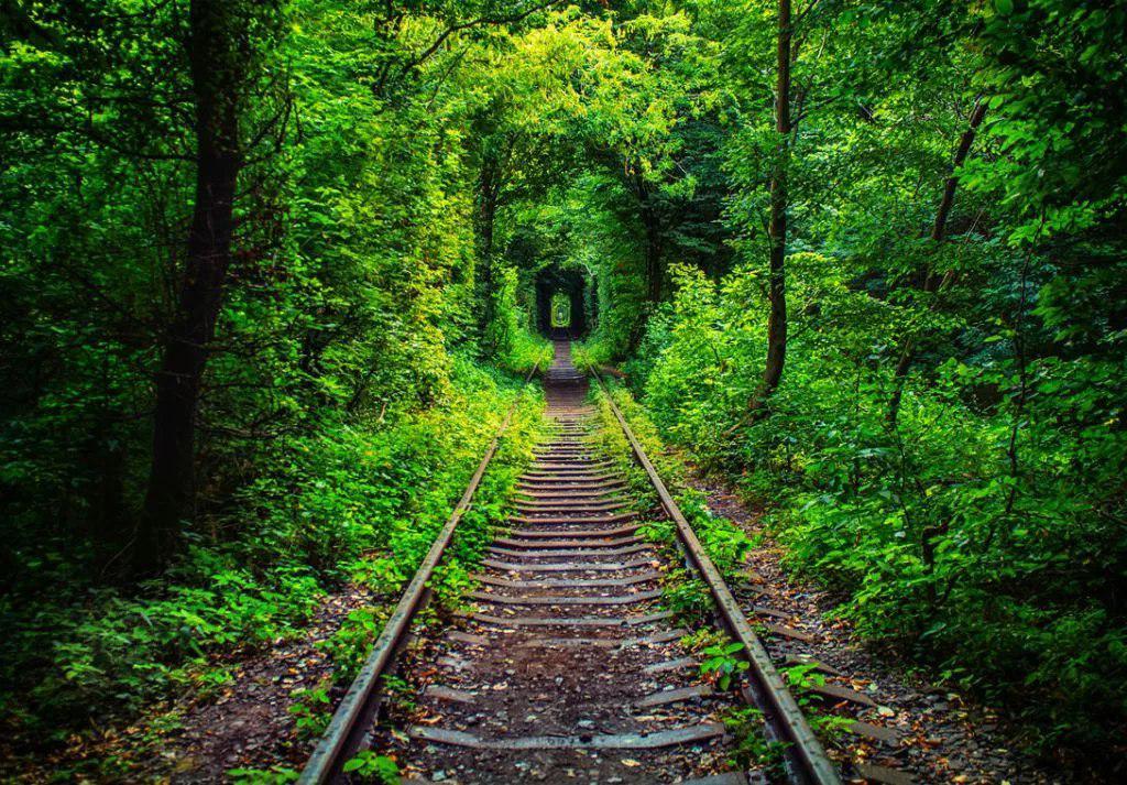 Гарні місця в Рівному для фотосесії: відкриття чарівних локацій