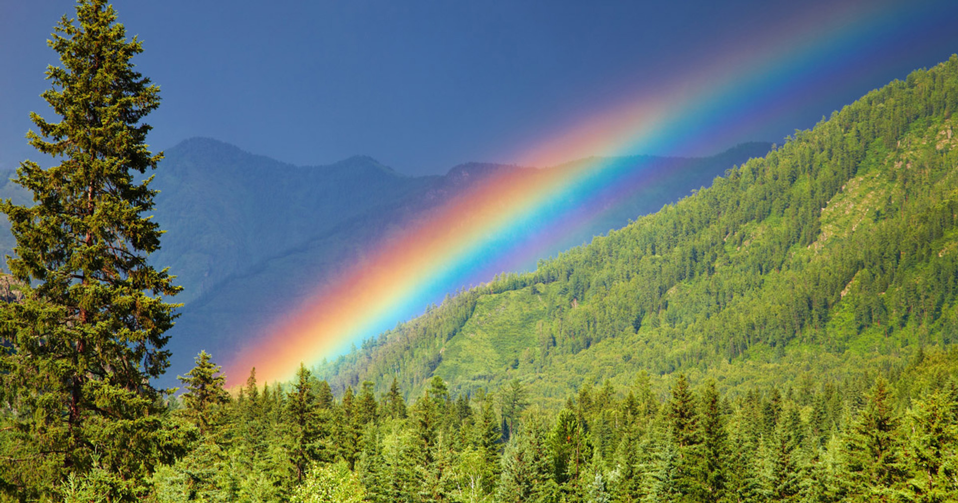 Кольори веселки: таємниці, значення та історія чарівного явища