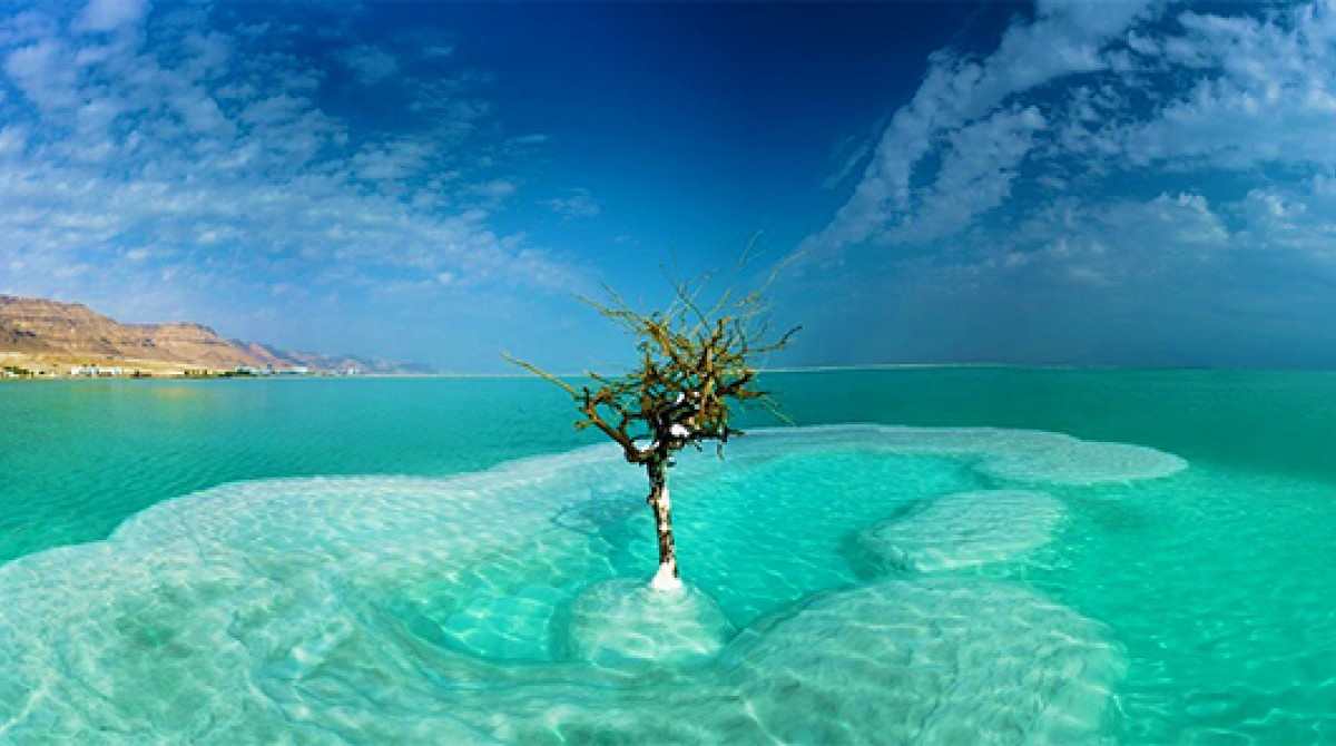 Цікаві Факти про Мертве Море: Загадки Найсолонішого Озера Світу