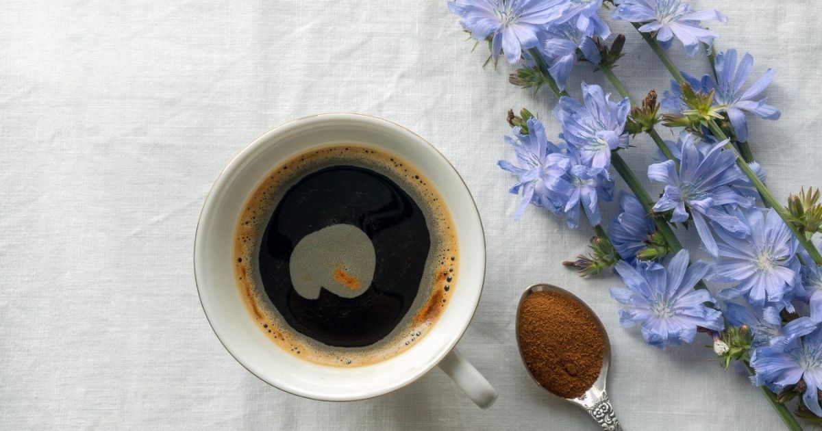 Як часто можна пити цикорій: користь, шкода та рекомендації