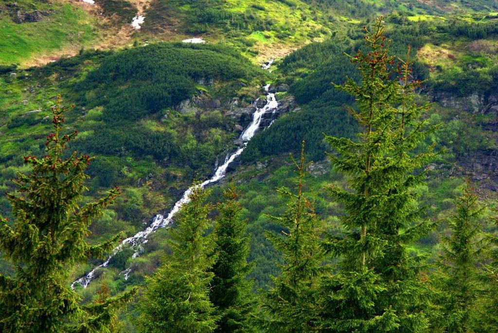 Де бере початок річка Прут: витоки в серці Карпат