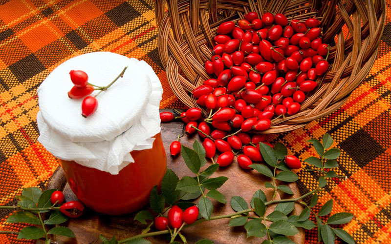 Де продати шипшину: ринки, платформи та вигідні канали в Україні