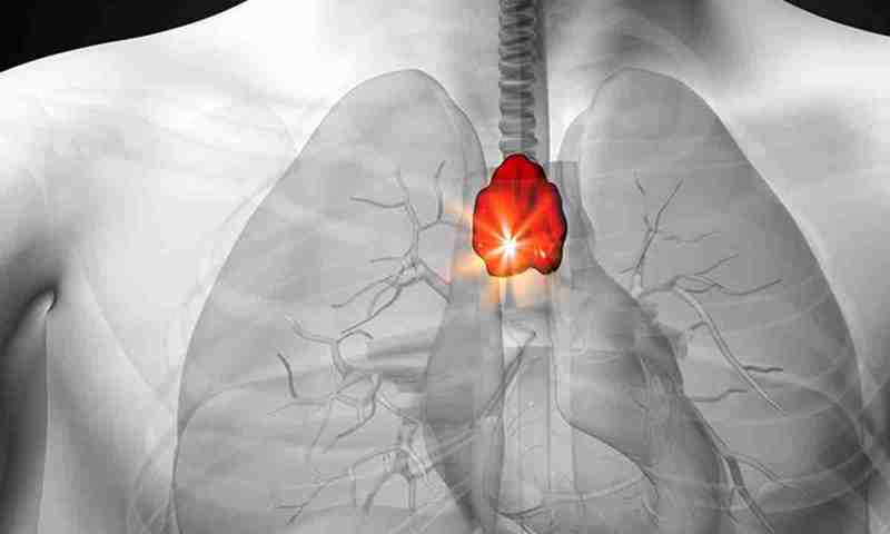 Тимус де знаходиться: таємниці вилочкової залози