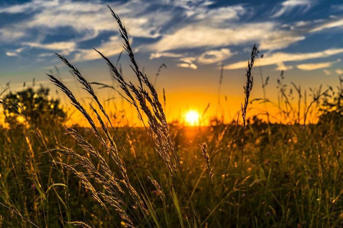 Побажання на літо: теплі слова для рідних, друзів і колег
