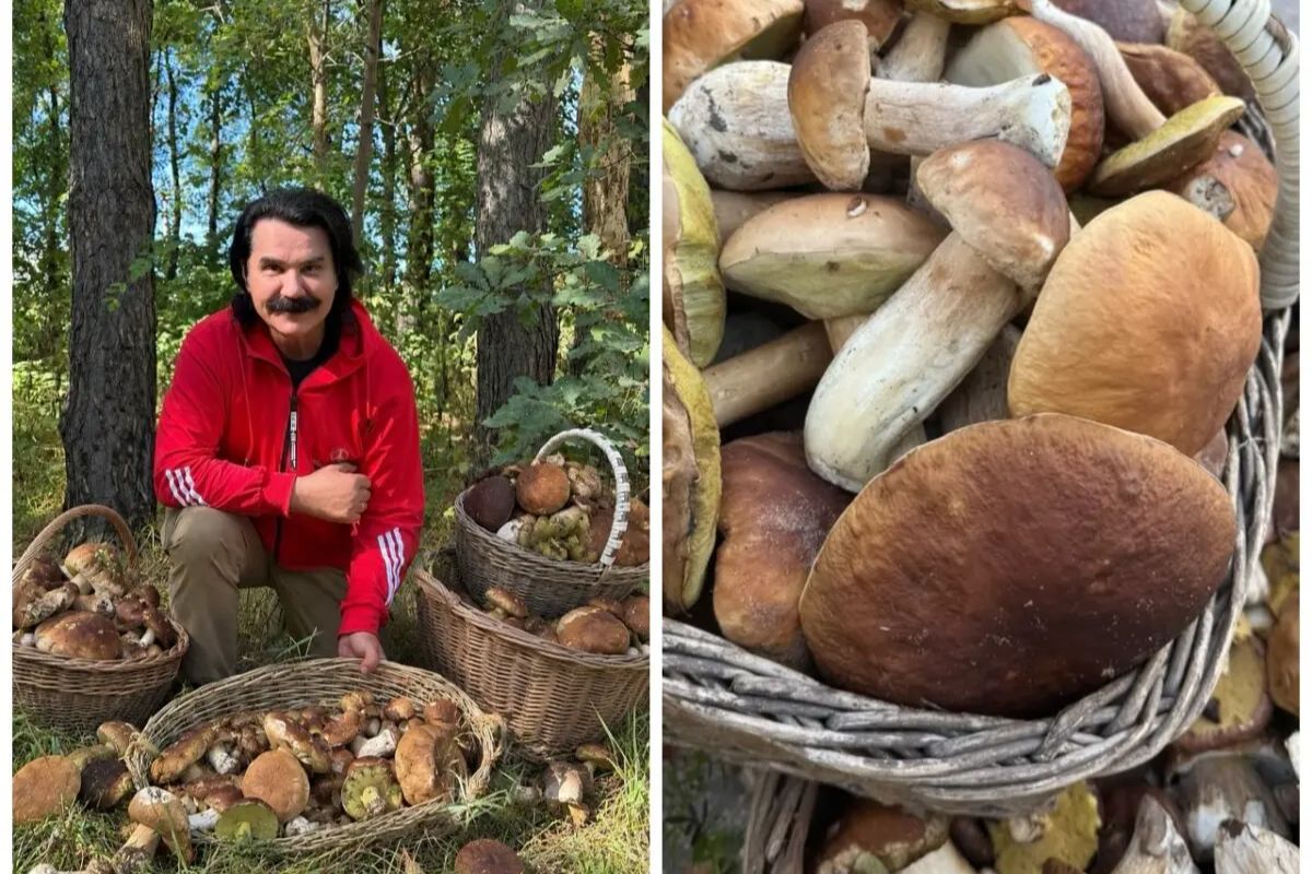 Павло Зібров показав кошики білих грибів після лісу